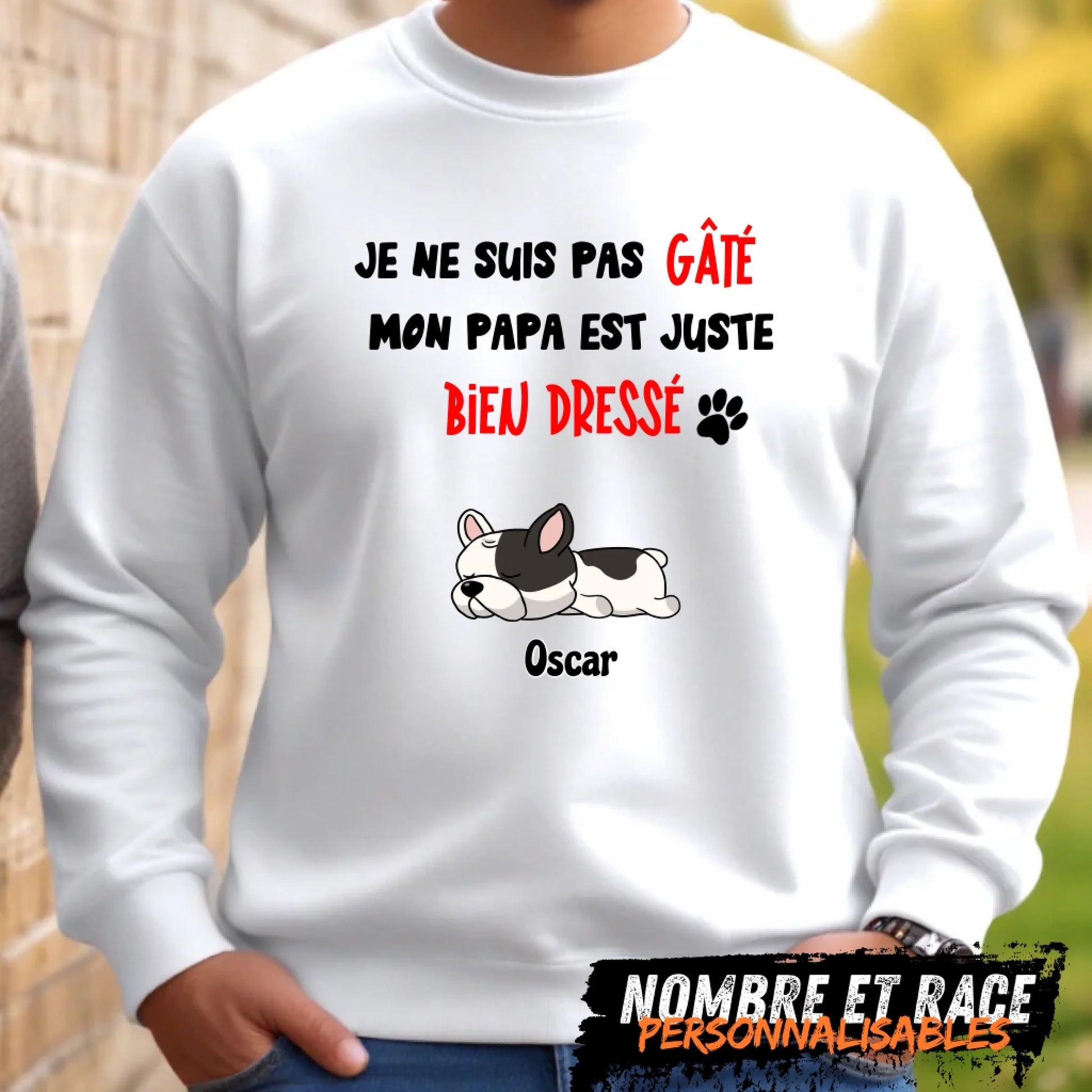 avatar et nom PERSONNALISABLES (6)